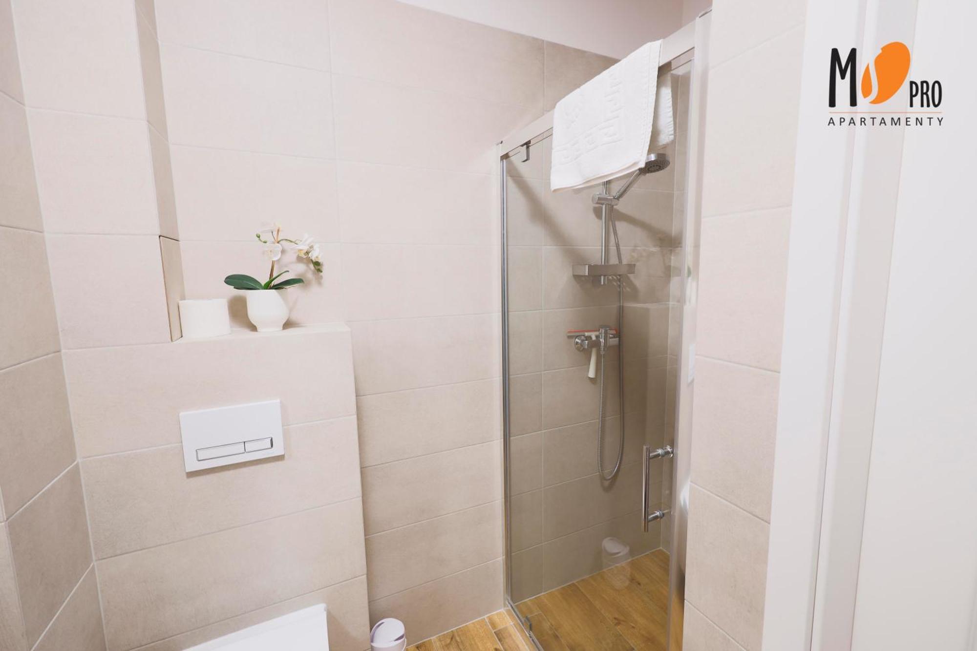 Ms Pro Comfort Kolo Brzegu Z Mini * Kolberg